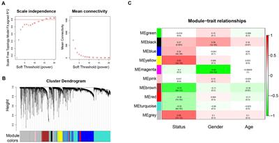 A novel predictive model for the recurrence of pediatric alopecia areata by bioinformatics analysis and a single-center prospective study